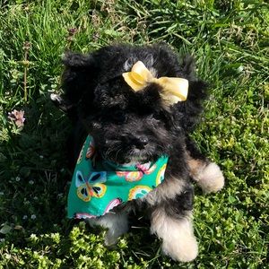 Meet your Posher, Angie